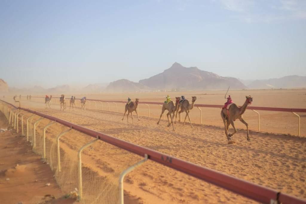 Martian Desert Camp ワディ ・ラム エクステリア 写真