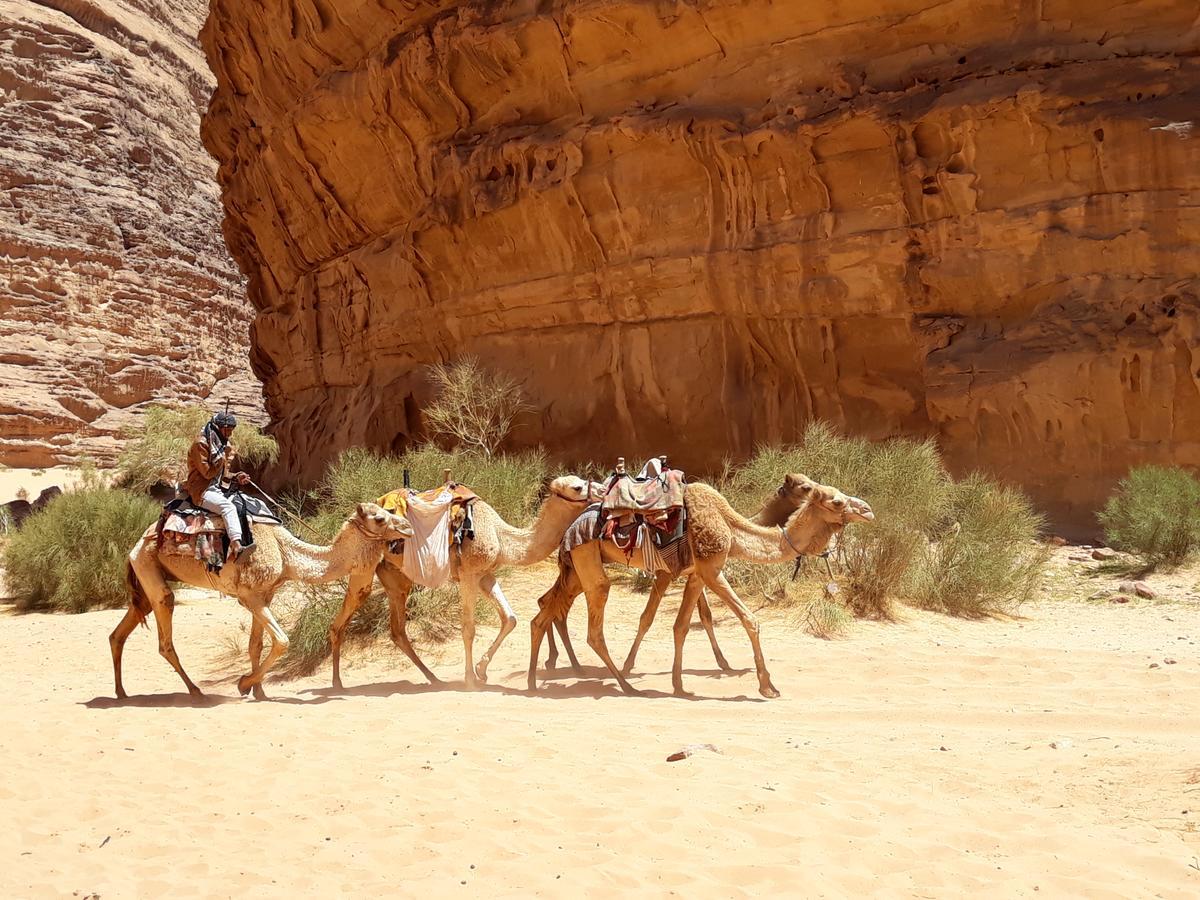 Martian Desert Camp ワディ ・ラム エクステリア 写真