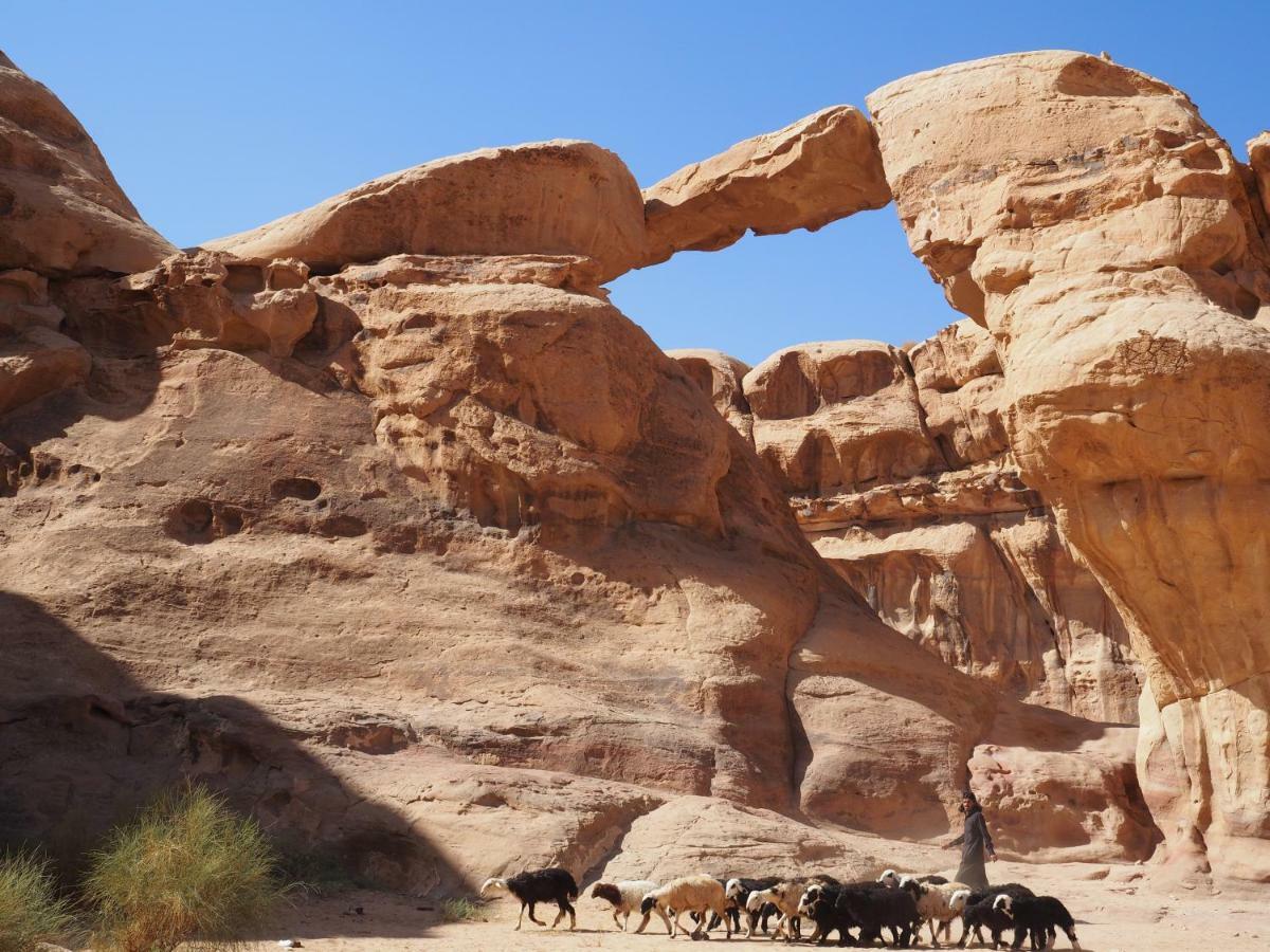 Martian Desert Camp ワディ ・ラム エクステリア 写真